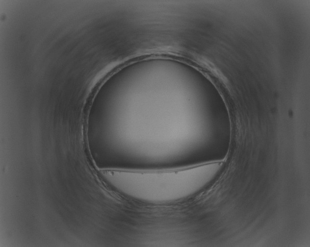 X0000074221316200608250753