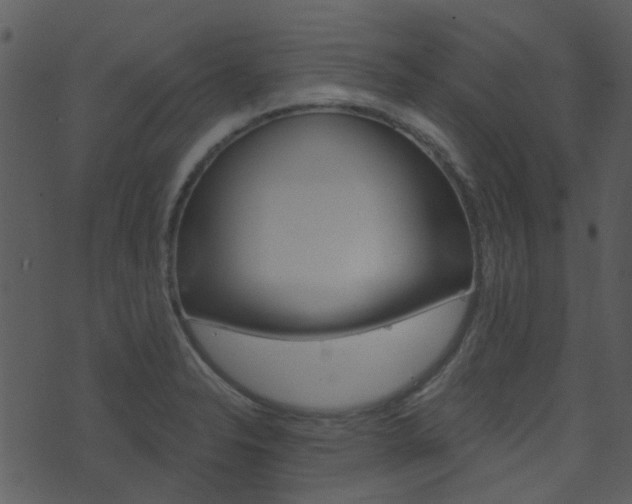 X0000074221326200608250753