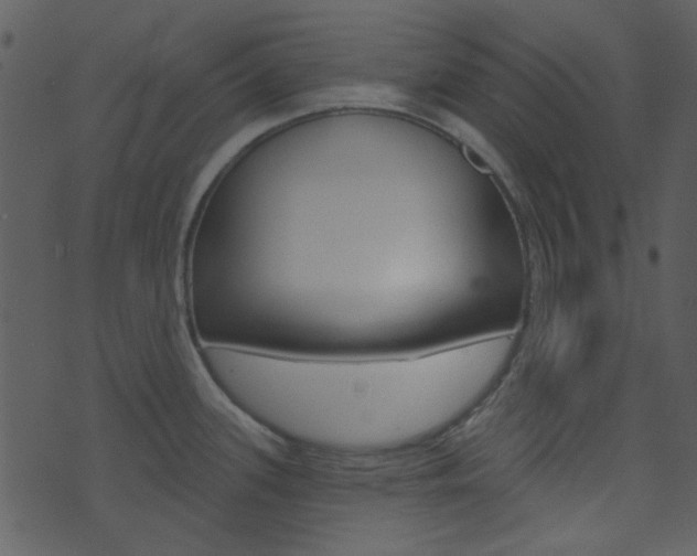 X0000074221339200608250753