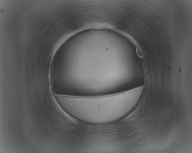 X0000074221343200608250753