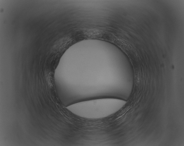 X0000074221346200608250753