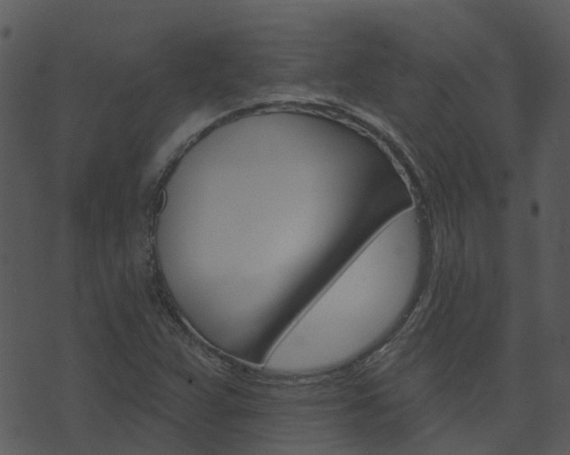X0000074221359200608250753