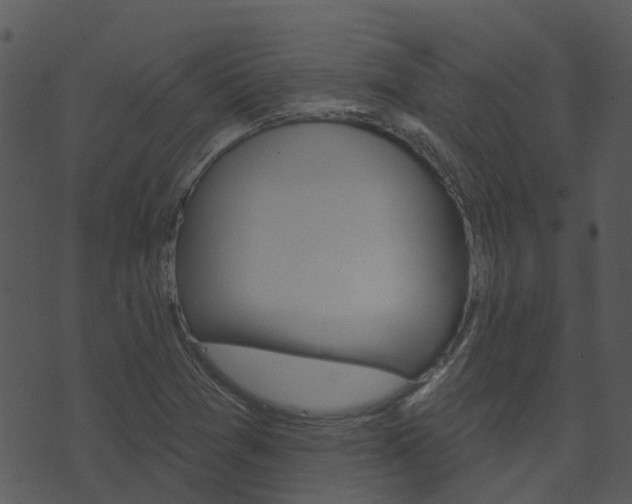 X0000074221361200608250752