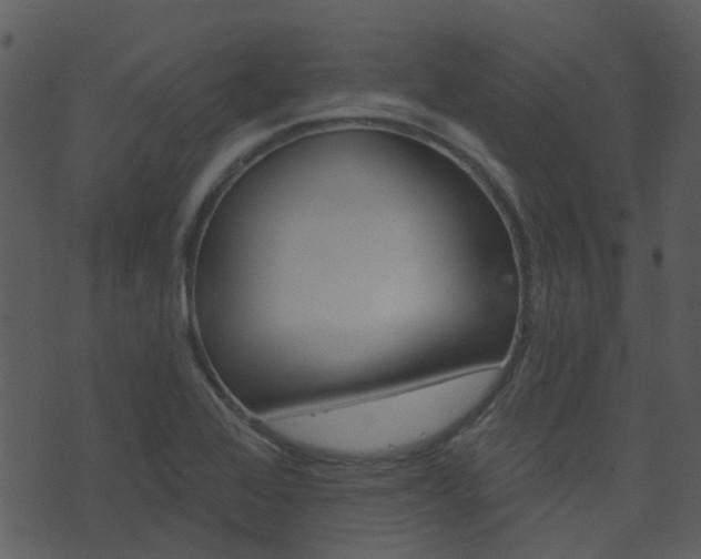 X0000074221368200608250752
