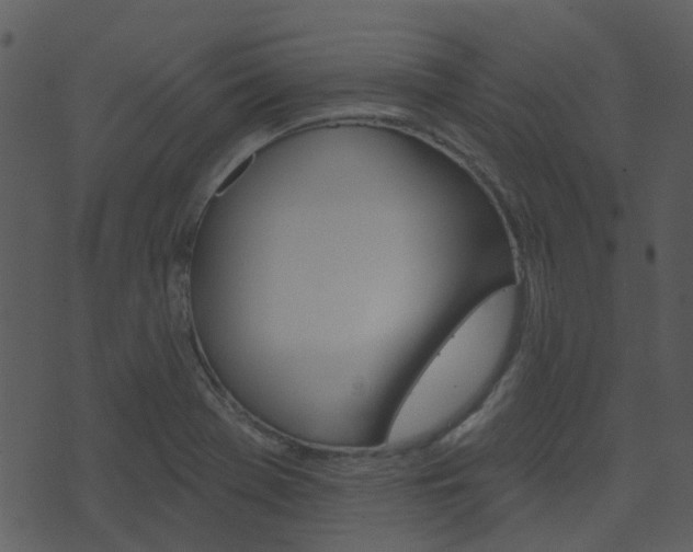 X0000074221369200608250752