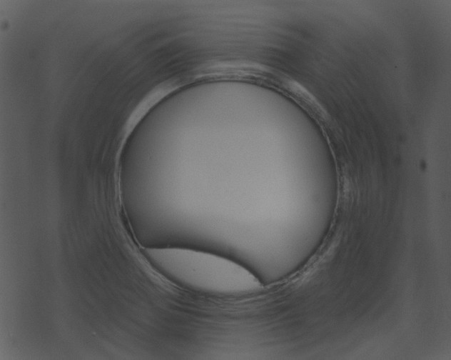 X0000074221370200608250752