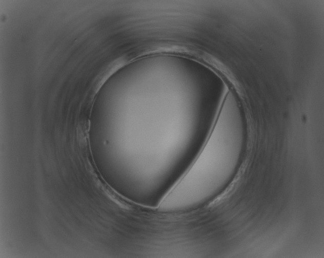 X0000074221377200608250752