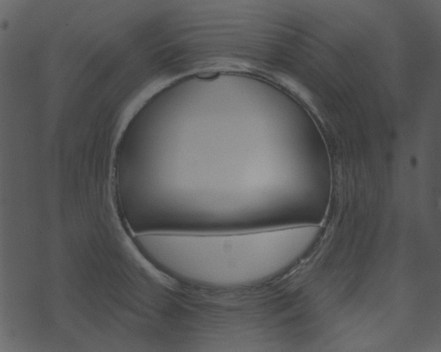 X0000074221379200608250752