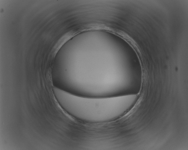 X0000074221385200608250752