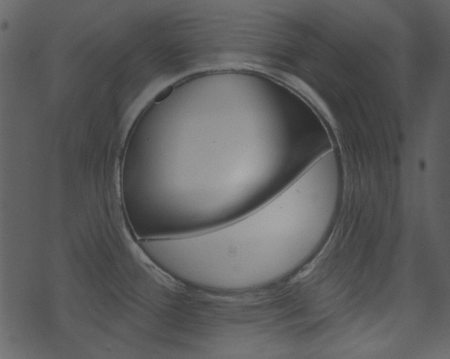 X0000074221388200608250752