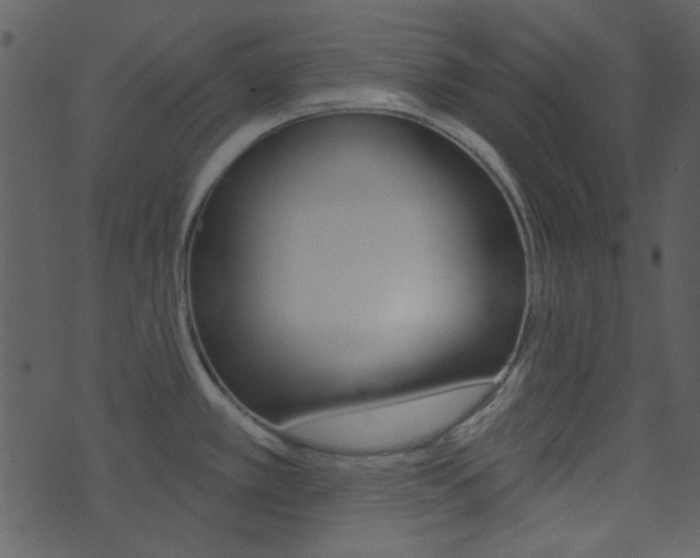 X0000074221389200608250752