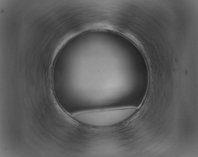 X0000074221392200608250752