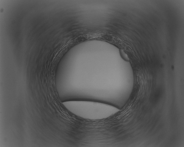 X0000074221393200608250751