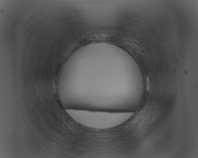 X0000074221395200608250751