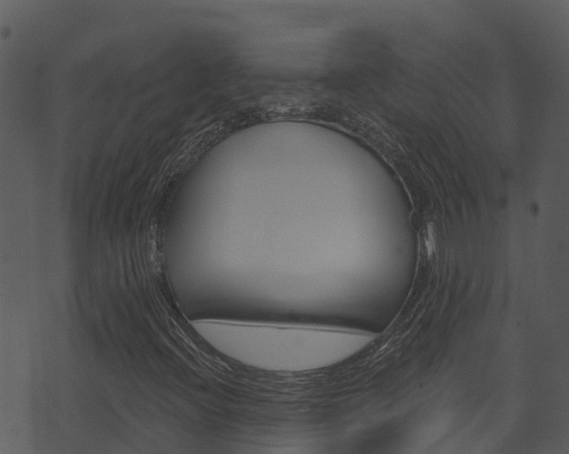 X0000074221396200608250751