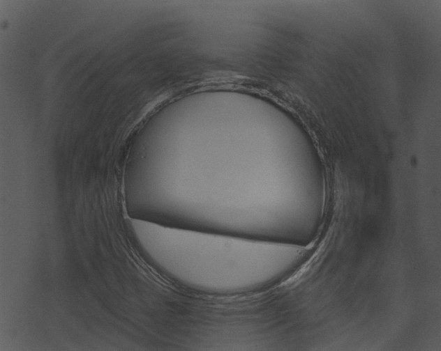 X0000074221401200608250751