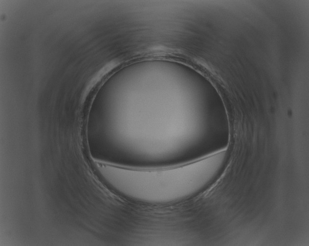 X0000074221410200608250751