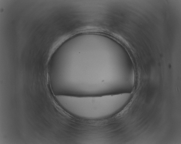 X0000074221413200608250752