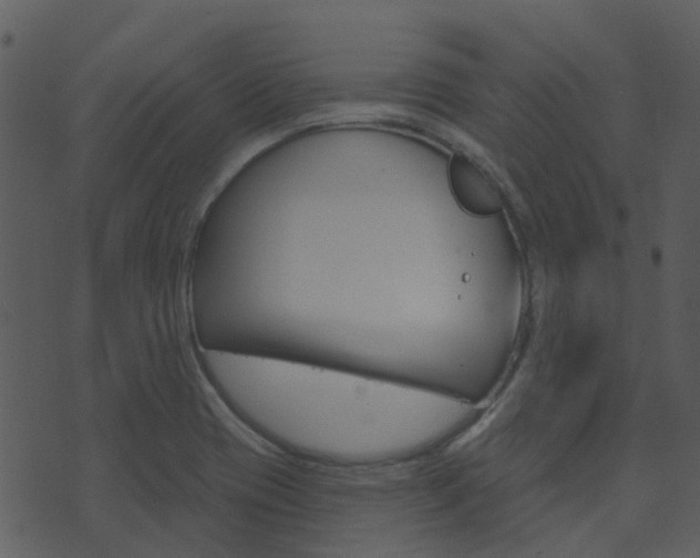 X0000074221417200608250752