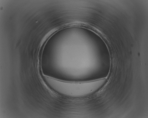 X0000074221418200608250752
