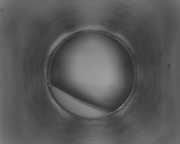 X0000074221422200608250752