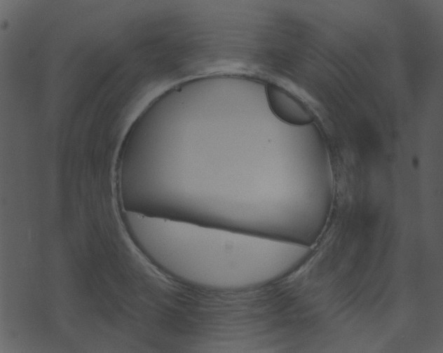 X0000074221423200608250752