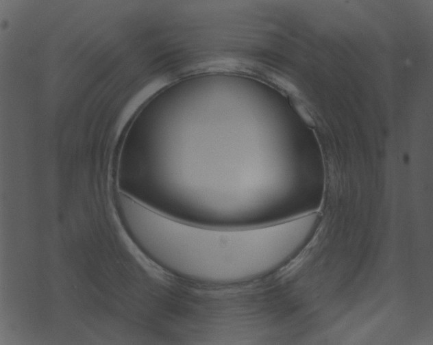 X0000074221426200608250752