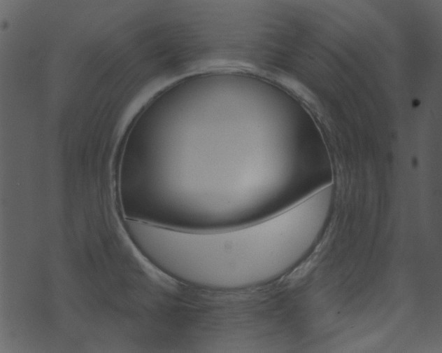 X0000074221430200608250752