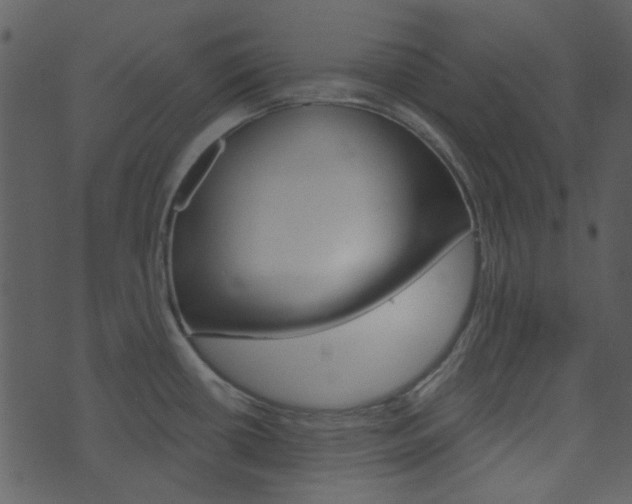 X0000074221434200608250752