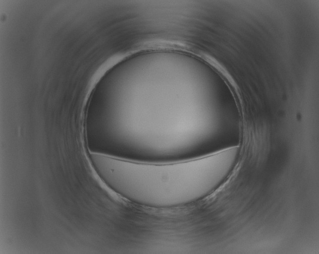 X0000074221437200608250752
