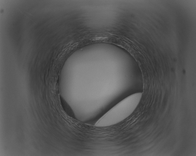 X0000074221441200608250751