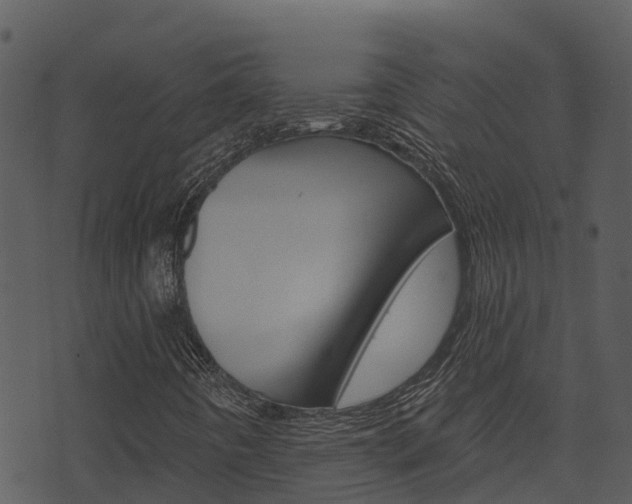 X0000074221442200608250751