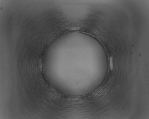 X0000074221443200608250751