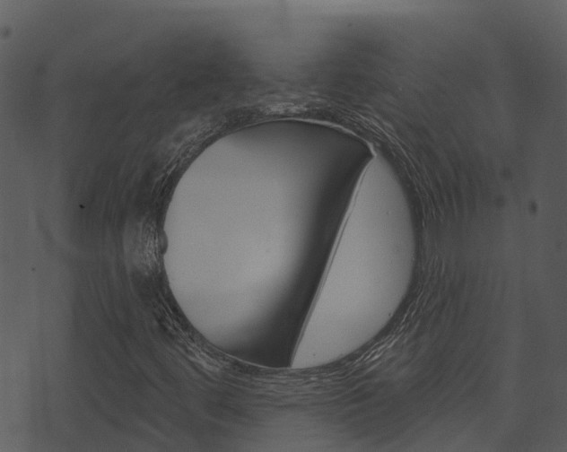 X0000074221444200608250751