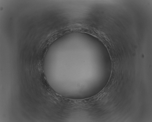 X0000074221445200608250751