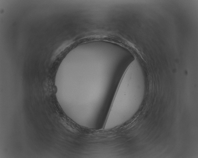X0000074221448200608250751