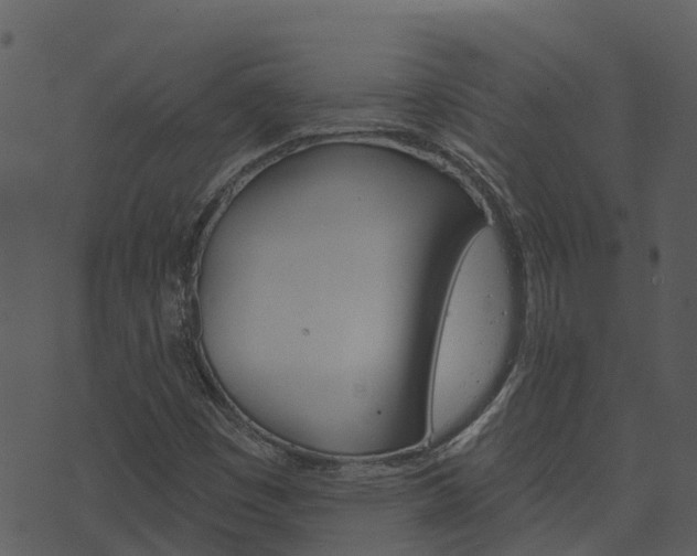X0000074221449200608250751