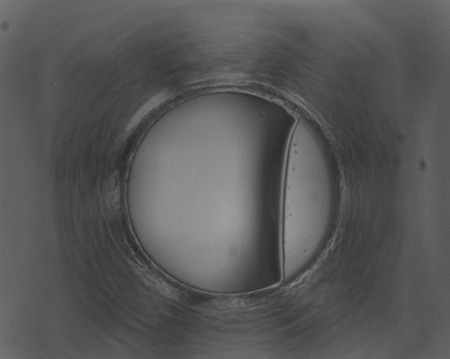 X0000074221450200608250751