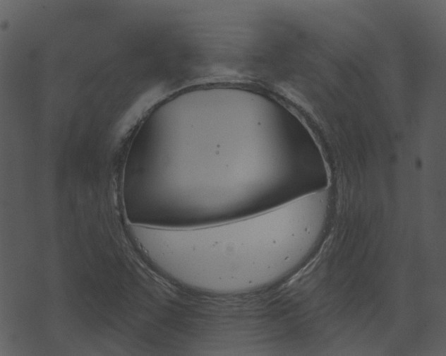X0000074221455200608250751