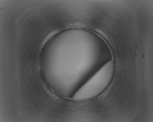 X0000074221458200608250751
