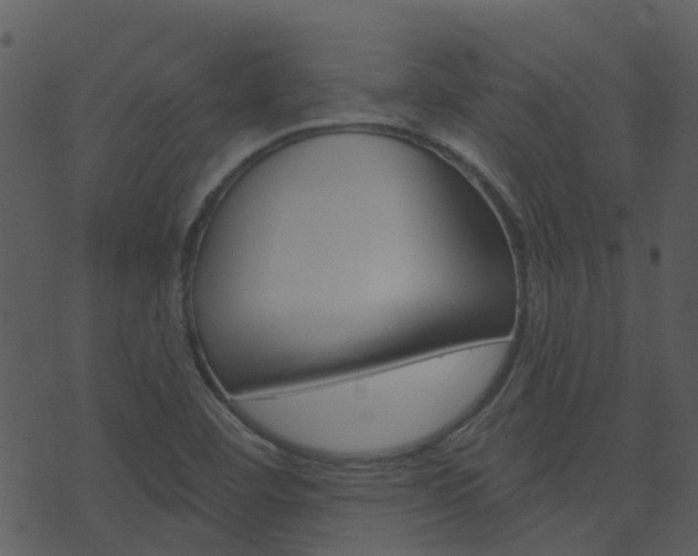 X0000074221460200608250751