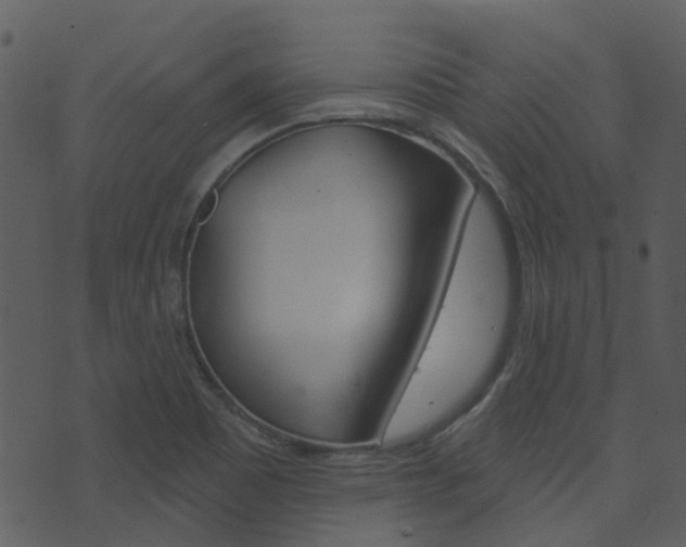 X0000074221465200608250751