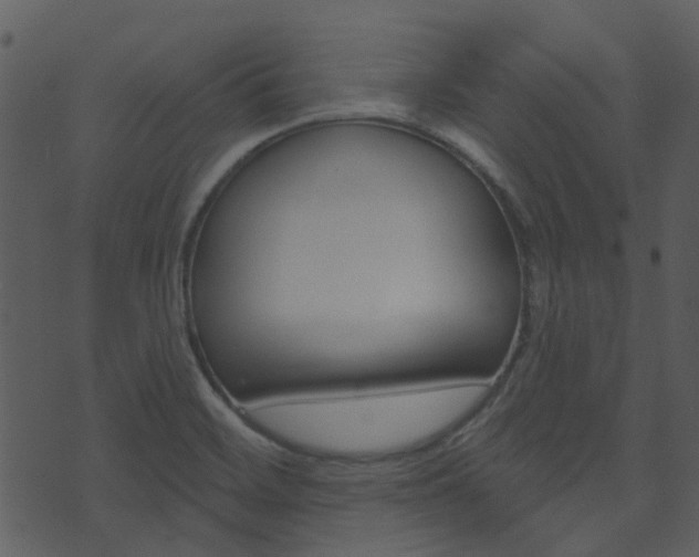 X0000074221468200608250751