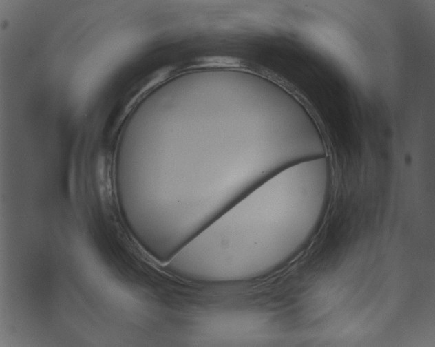 X0000074221487200608250750