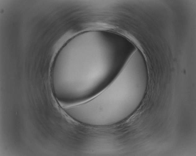 X0000074221488200608250750