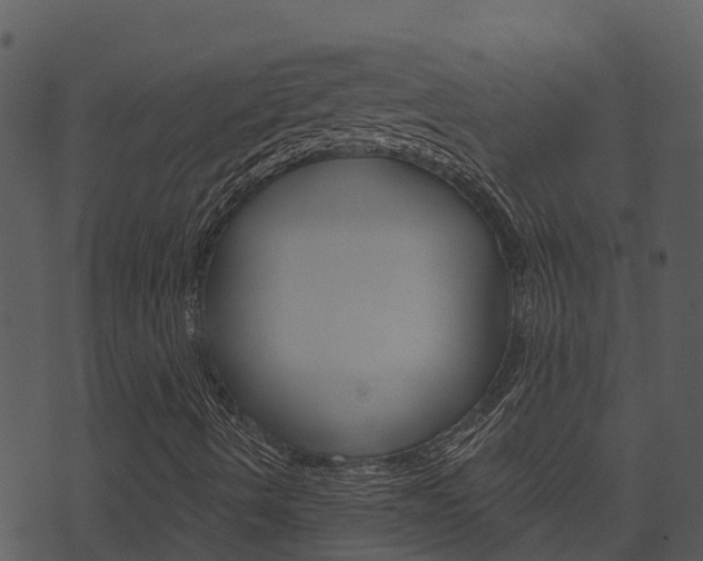 X0000074221490200608250750