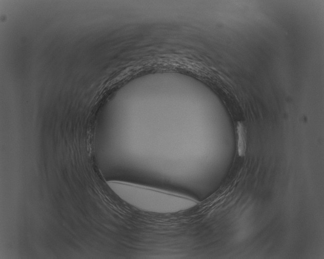 X0000074221491200608250750