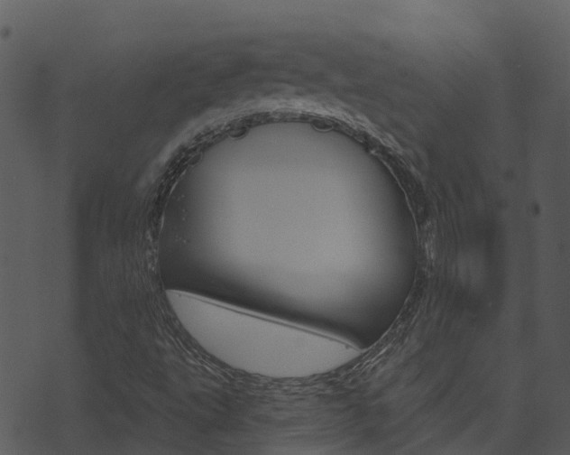 X0000074221495200608250750