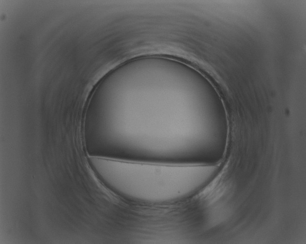 X0000074221513200608250750