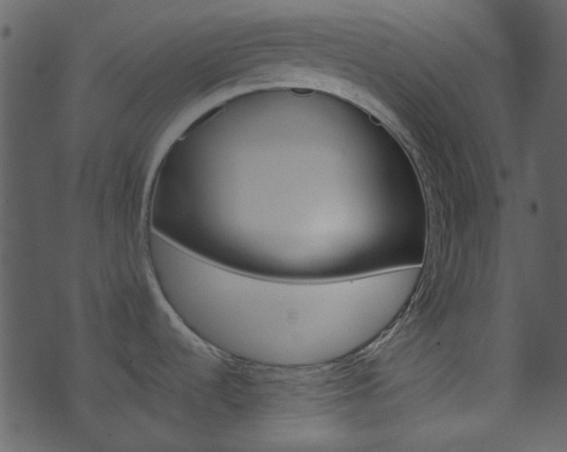 X0000074221536200608250750